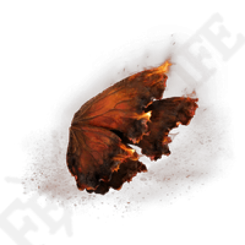 XBOX Smoldering Butterfly *999