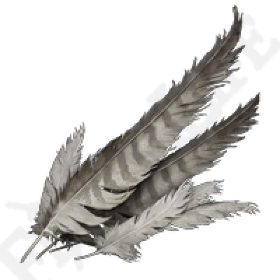 XBOX Stormhawk Feather *999