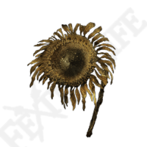 XBOX Tarnished Golden Sunflower *999