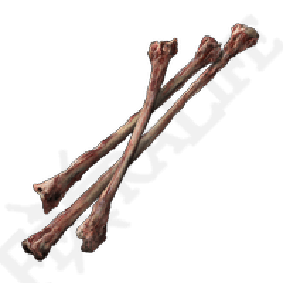 XBOX Thin Beast Bones *999